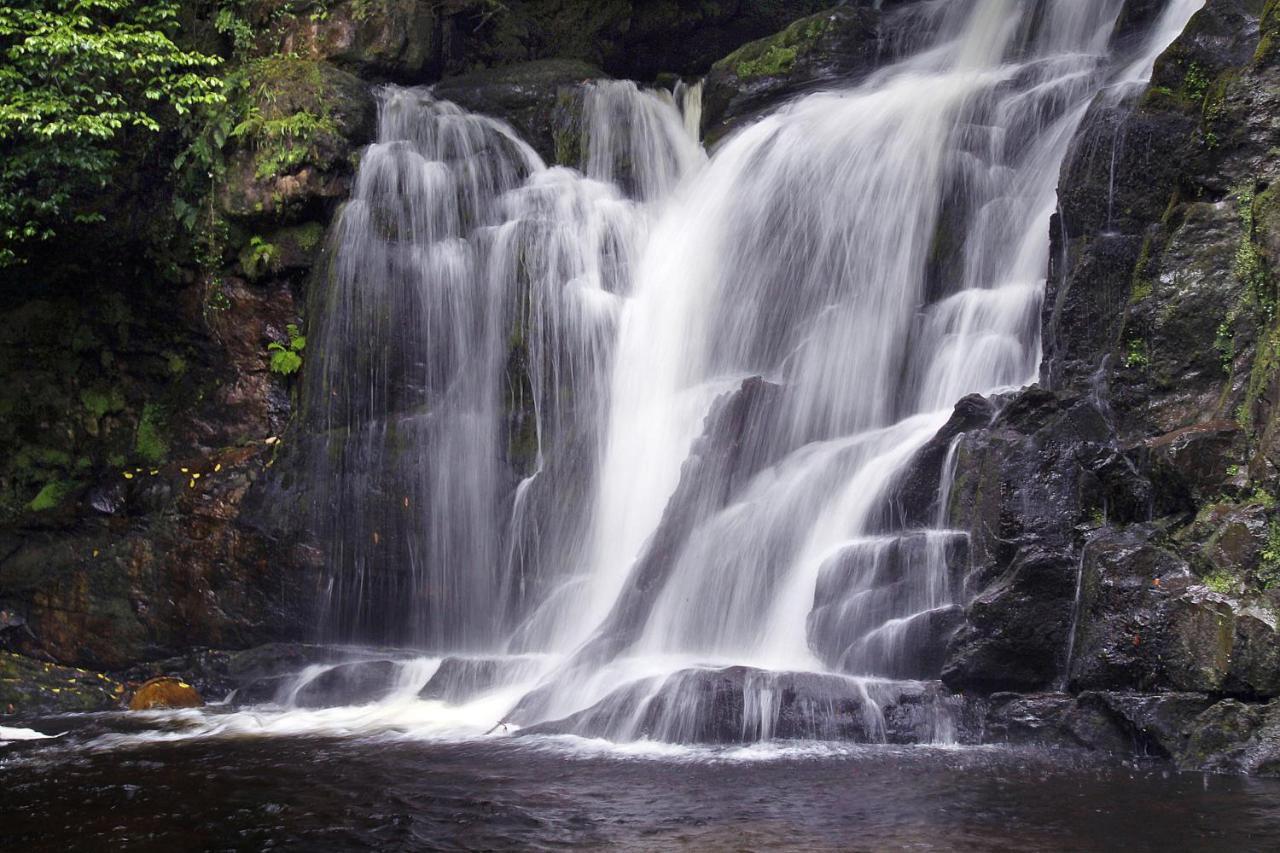 Готель The Killarney Park Екстер'єр фото